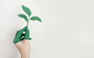 Tessiant’s Journey To Becoming Socially Responsible & Sustainable
