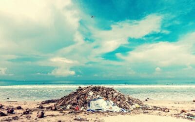 Tessiant Helping To Keep Britain Tidy