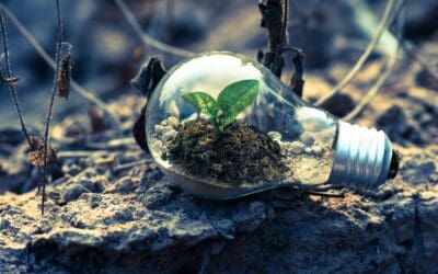 Building Sustainability Into Your Business Strategy